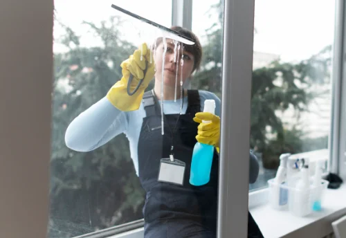 Nettoyage de vitres intérieures et extérieures à Plaine